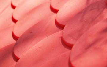 Nedsherry plastic roof costs