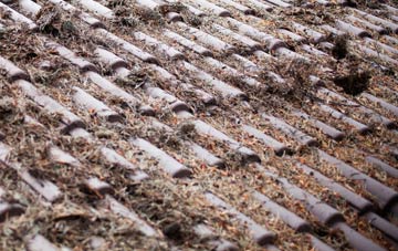 Nedsherry roof cleaning companies